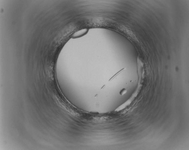 X0000076100450200610152347