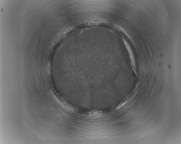 X0000076100451200610152347