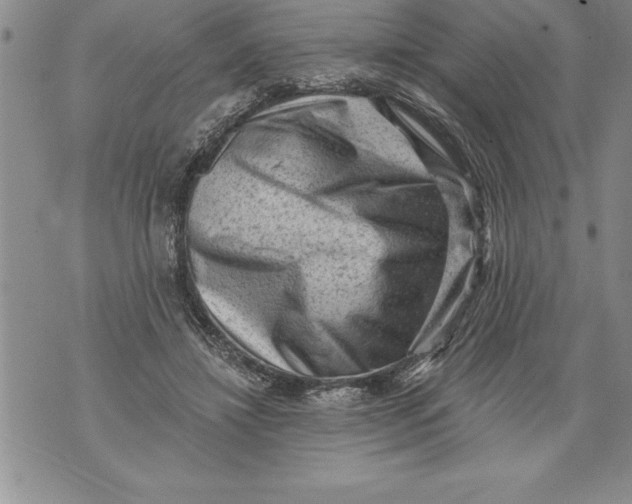 X0000076100452200610152347