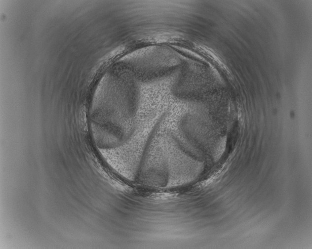 X0000076100453200610152347