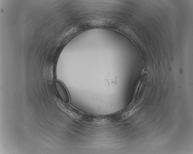 X0000076100454200610152347