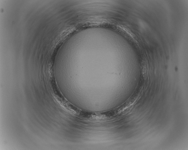 X0000076100455200610152347