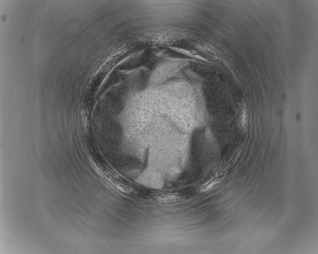 X0000076100456200610152348