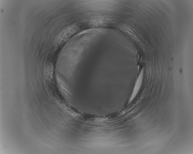 X0000076100458200610152348