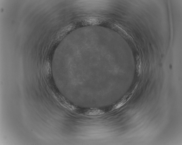 X0000076100459200610152348