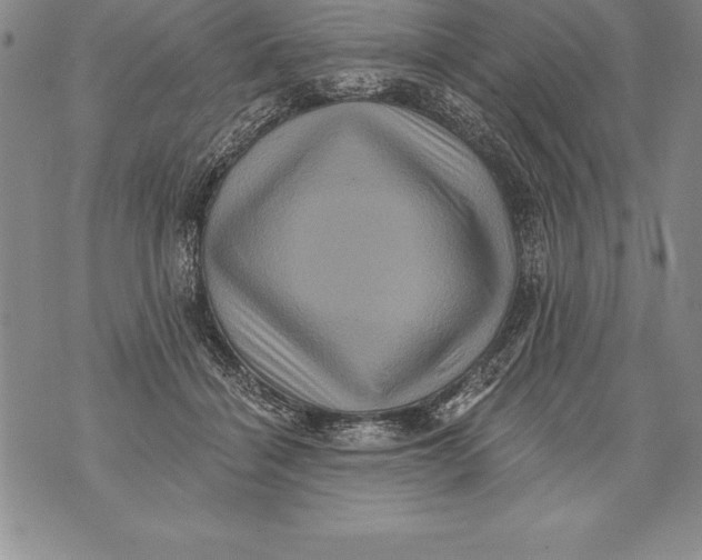 X0000076100460200610152348