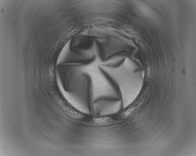 X0000076100461200610152348