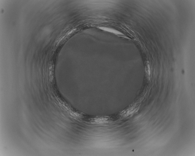 X0000076100462200610152348