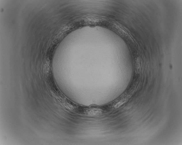 X0000076100463200610152348