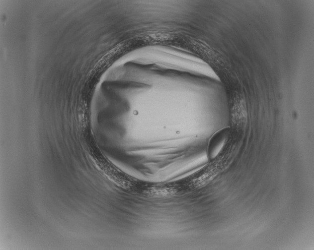 X0000076100464200610152348