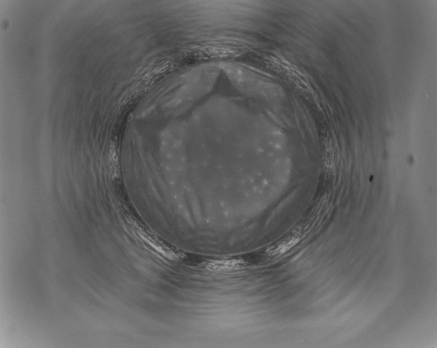 X0000076100465200610152348