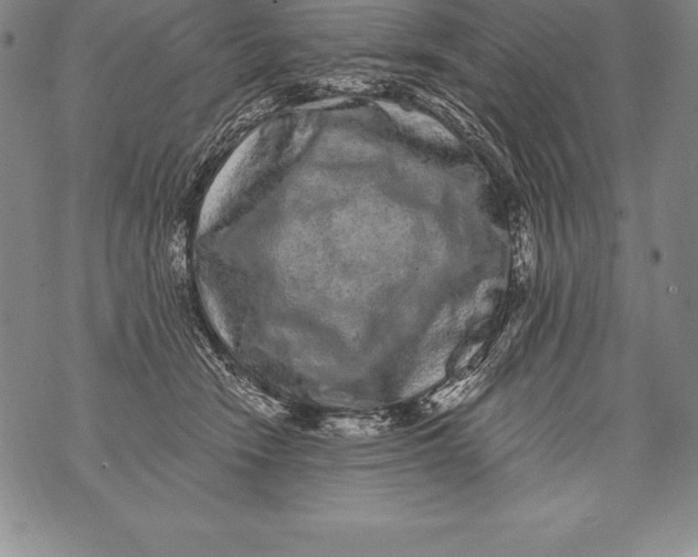 X0000076100466200610152348