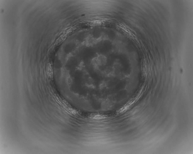 X0000076100467200610152348