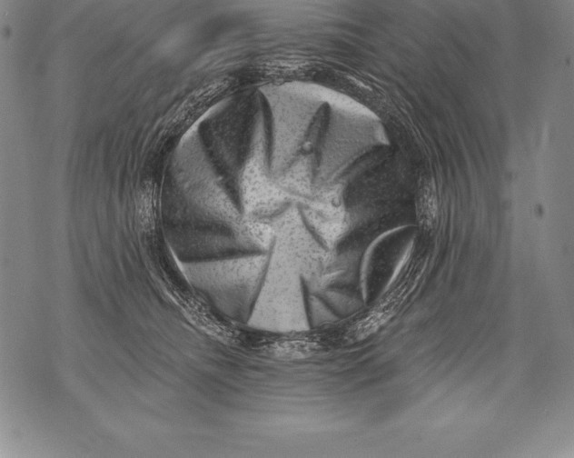 X0000076100468200610152348