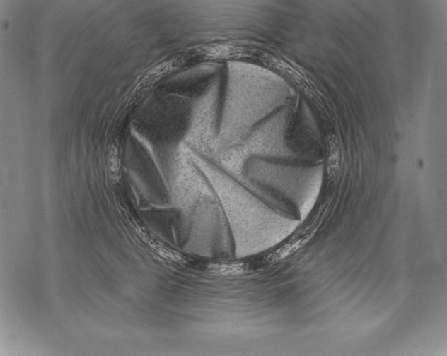 X0000076100469200610152348