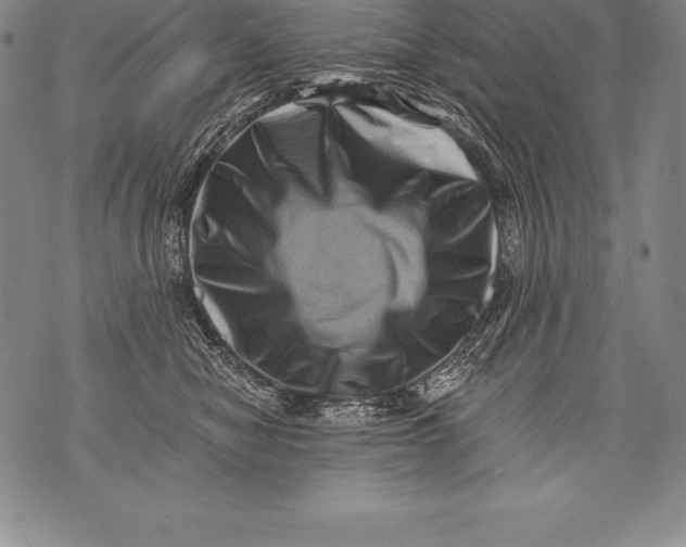 X0000076100470200610152348