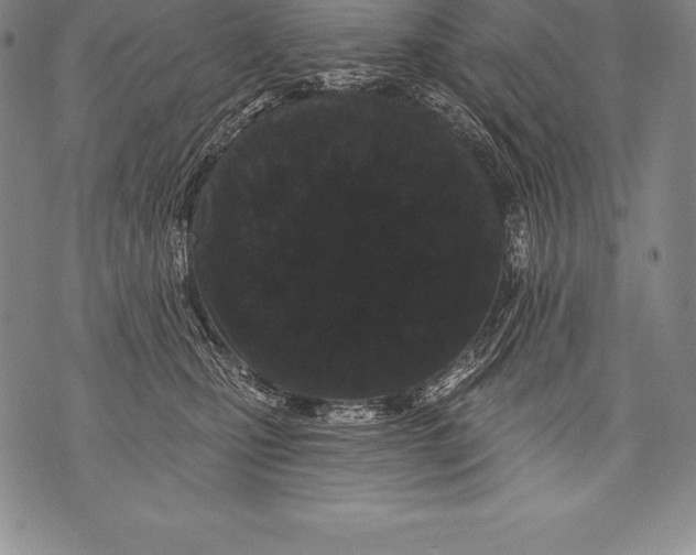 X0000076100471200610152348