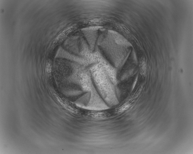 X0000076100472200610152348