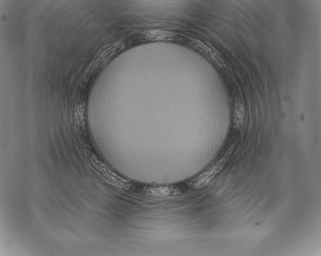 X0000076100473200610152348