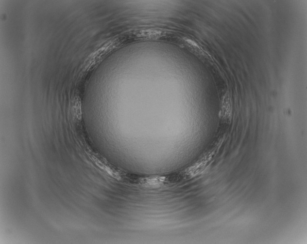 X0000076100474200610152348