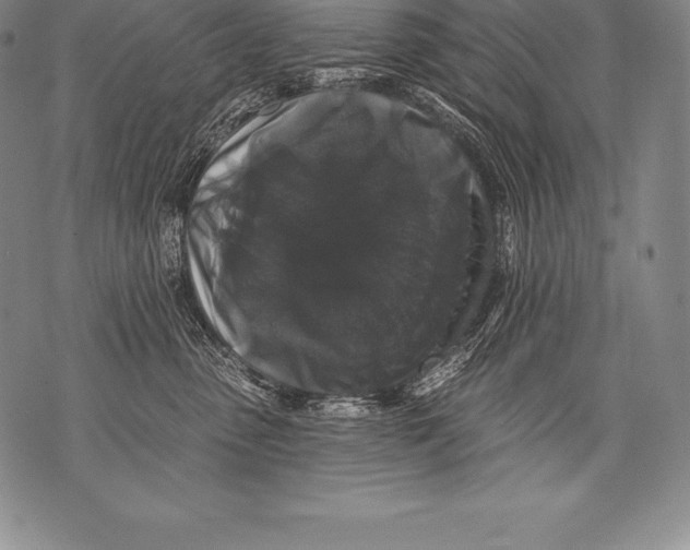 X0000076100475200610152348