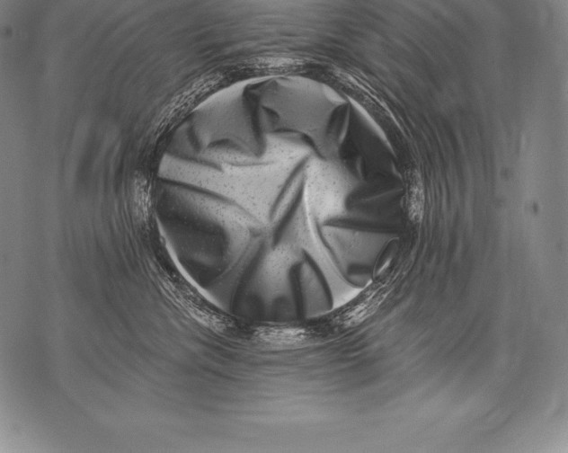 X0000076100476200610152348