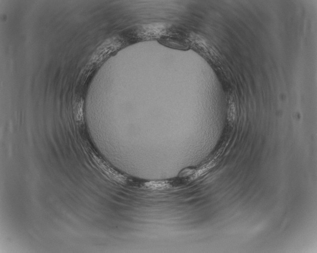 X0000076100477200610152348