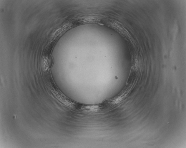 X0000076100478200610152348