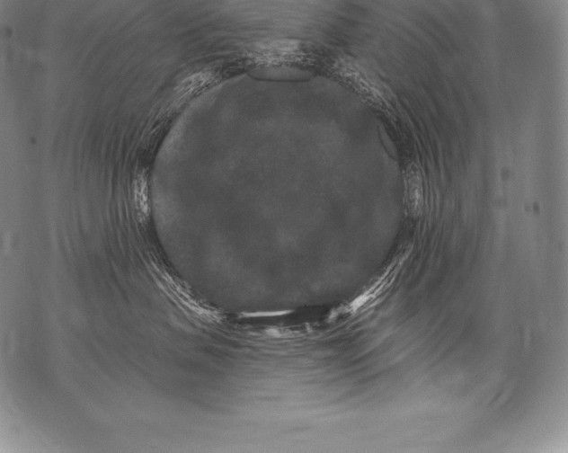 X0000076100479200610152348