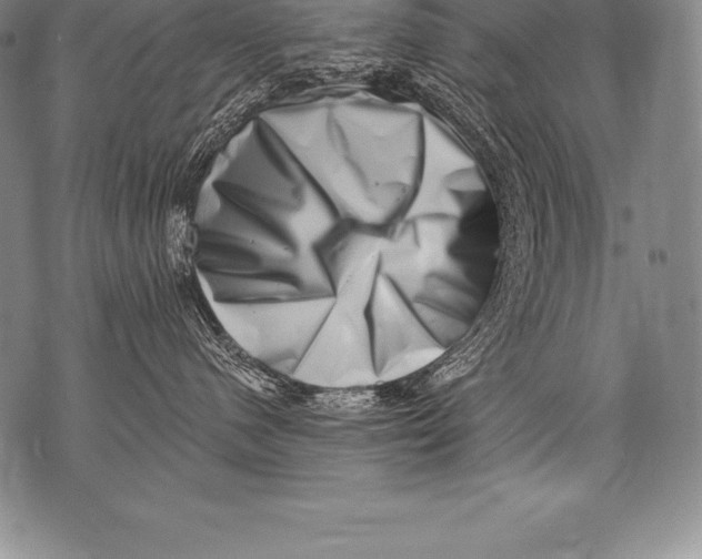 X0000076100480200610152348