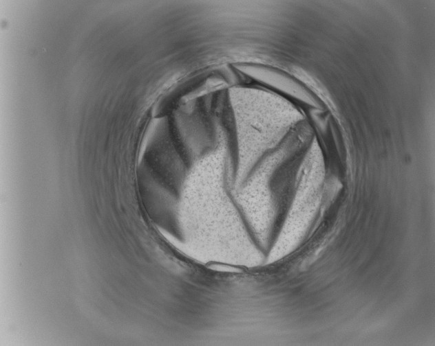 X0000076100481200610152347