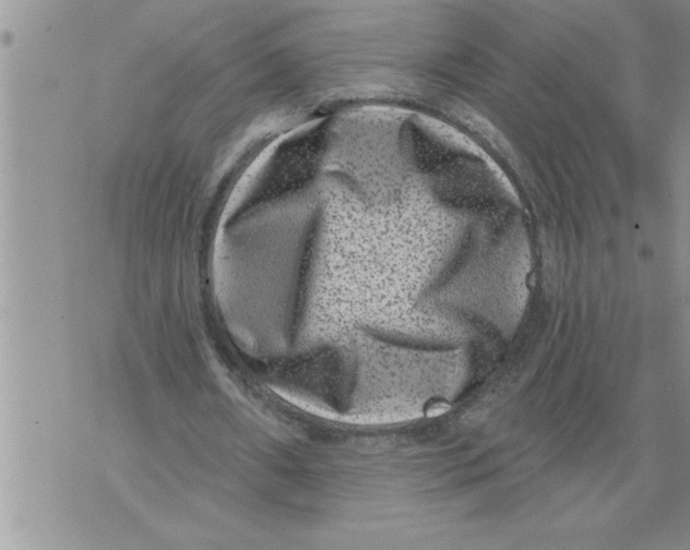 X0000076100482200610152347