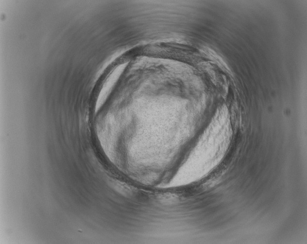 X0000076100483200610152347