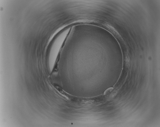 X0000076100484200610152347