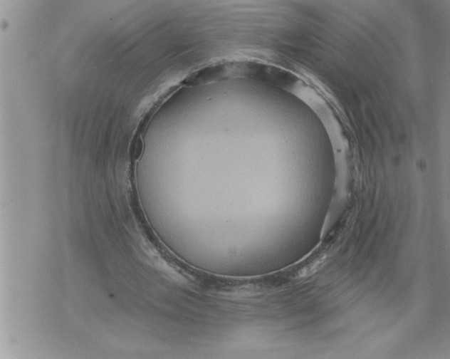 X0000076100485200610152347