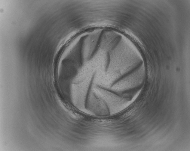 X0000076100486200610152347