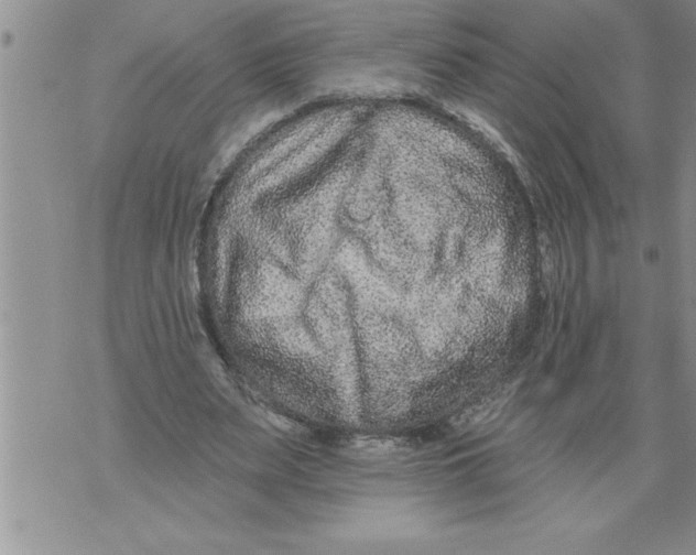 X0000076100487200610152347