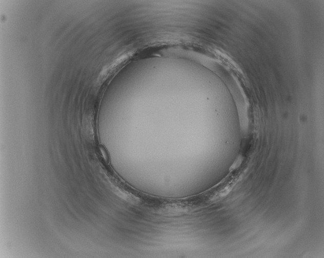 X0000076100489200610152347