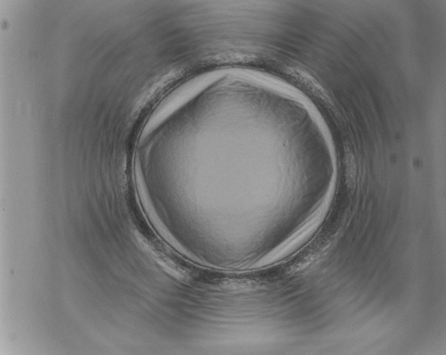 X0000076100490200610152347