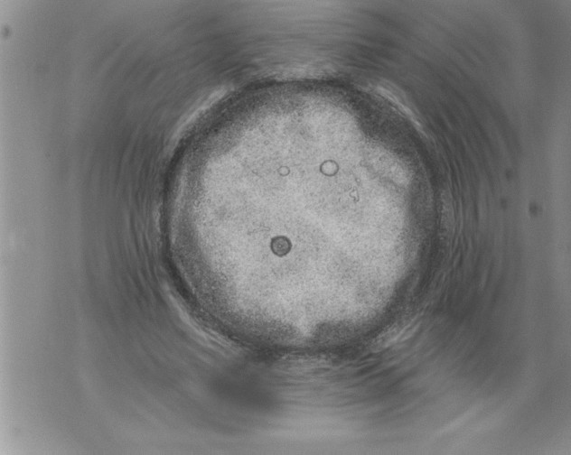 X0000076100491200610152347