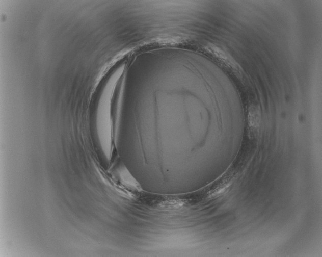 X0000076100492200610152347