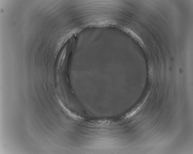 X0000076100493200610152347