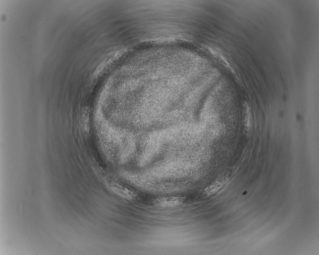 X0000076100495200610152347