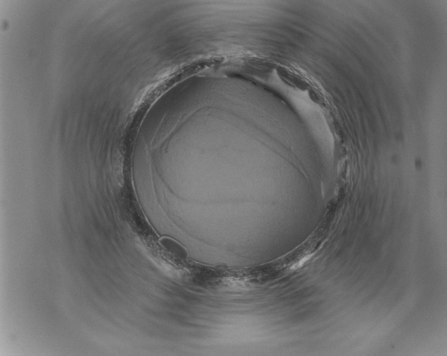 X0000076100496200610152347