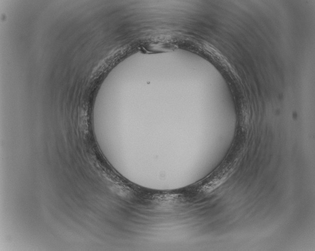 X0000076100497200610152347