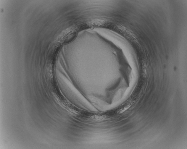 X0000076100498200610152347