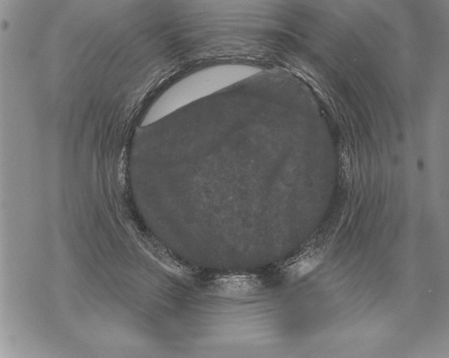 X0000076100499200610152347