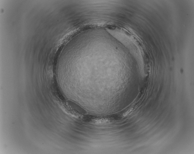 X0000076100500200610152347