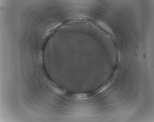 X0000076100501200610152347