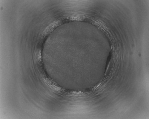 X0000076100502200610152347